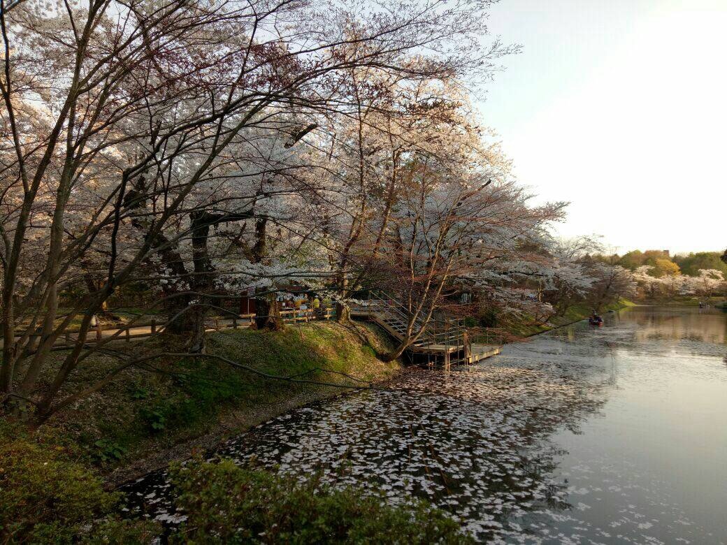 a0385326_02173094.jpg