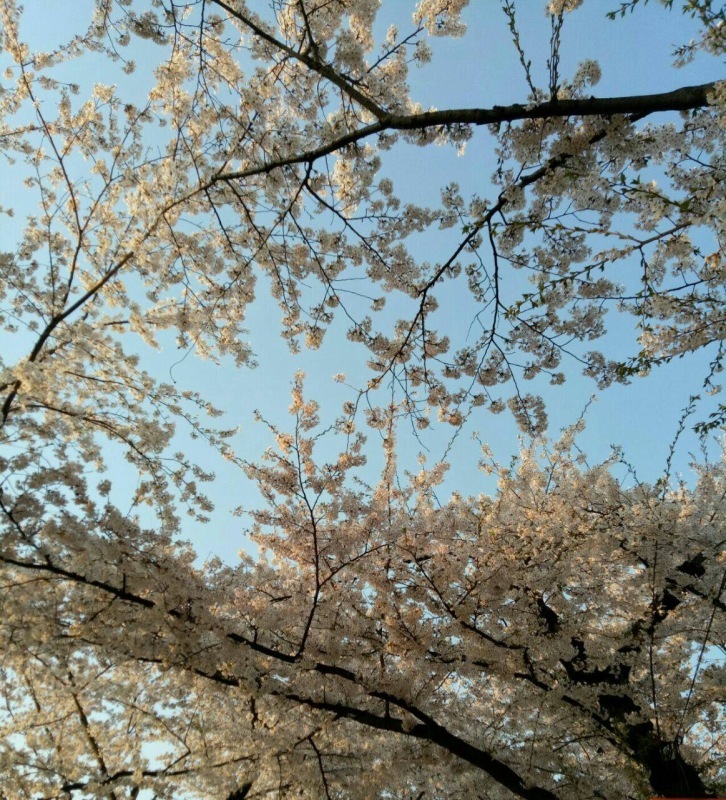 a0385326_02340272.jpg