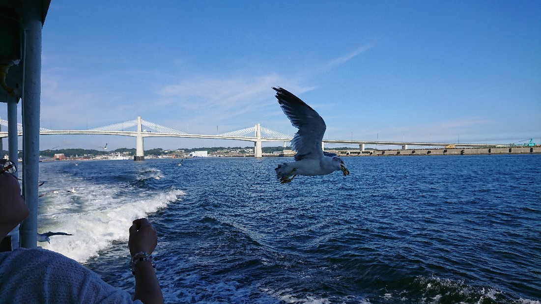 e0137130_21561051.jpg