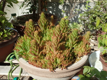 c0353632_15541767.jpg