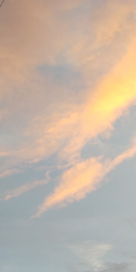 e0376933_22295445.jpg