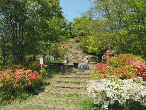 b0042334_15255769.jpg