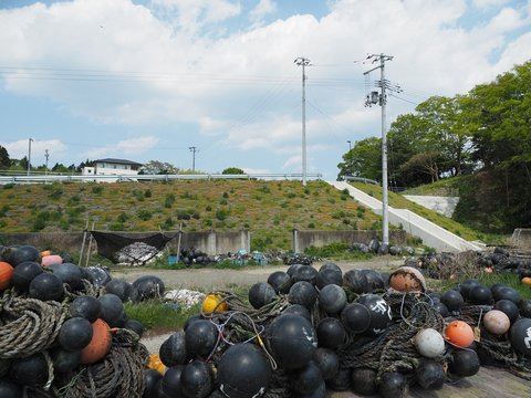 b0042334_15312854.jpg