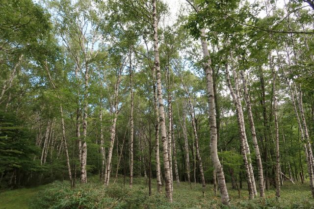 b0178339_16313757.jpg