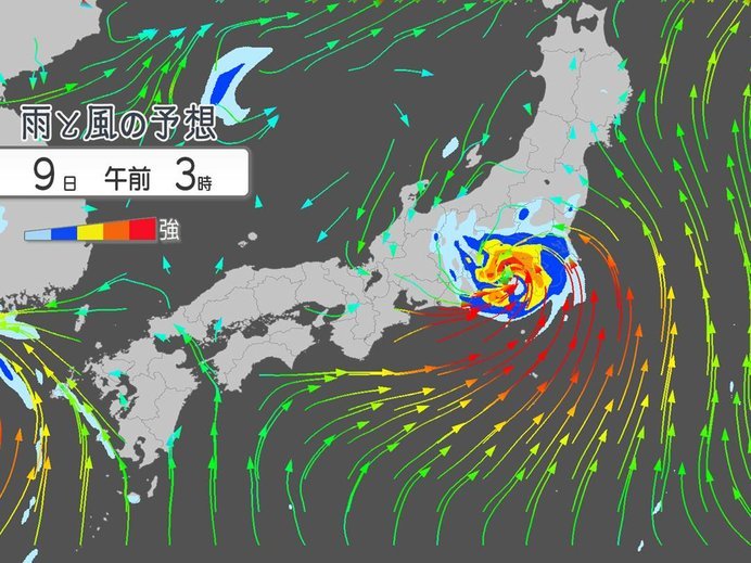 【日曜の夜中に白菜ならぬ100歳でもないファクサイ(Faxai)のお越し】_b0009849_16423479.jpeg