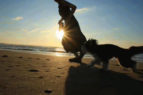 c0145250_09464196.gif
