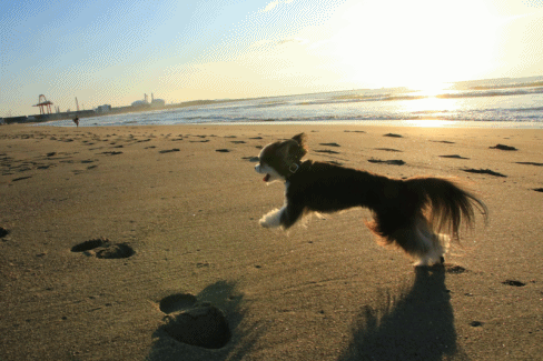 c0145250_09465847.gif