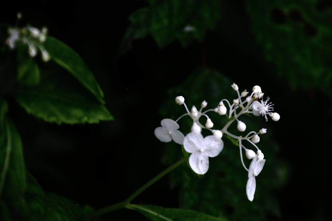 e0403850_22560634.jpg