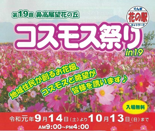 鼻高展望花の丘 早くもコスモスの季節 群馬で生まれ育った男のブログ 鼻高展望花の丘 早くもコスモスの季節 群馬で生まれ育った男のブログ