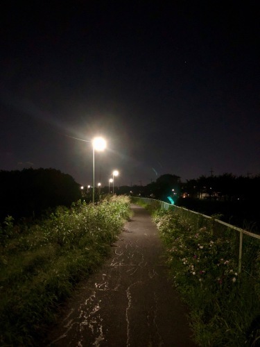 フィナーレはありけん坂_e0071652_10204482.jpeg