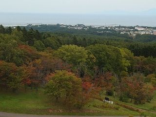 e0004756_08522246.jpg