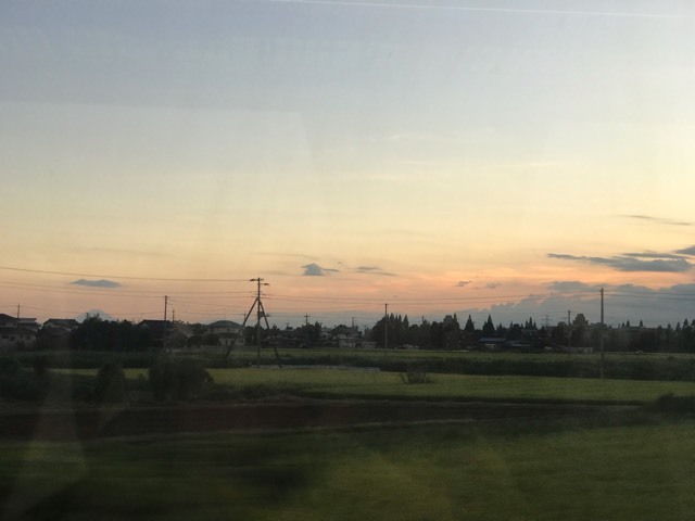 d0156557_07482589.jpeg