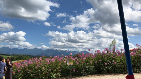 富良野・美瑛④_e0355177_15255209.jpg