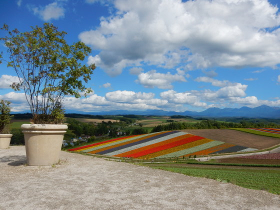 富良野・美瑛④_e0355177_15273604.jpg