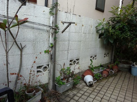 c0322794_23544015.jpg