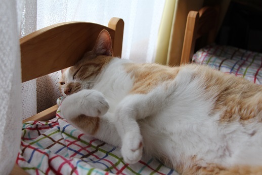 ずる休み_a0333195_07254075.jpg
