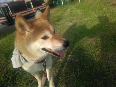 今週のレッスンで嬉しかったこと_c0106100_23373478.jpg