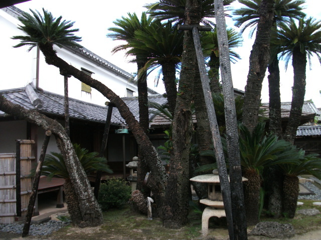 山梨県笛吹市の山梨食肉流通センターに搬入された・・・_c0192503_15381785.jpg