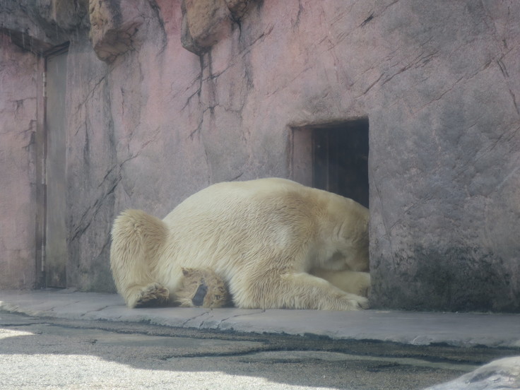 仙台市八木山動物公園☆再訪（9/1）_c0212604_18121648.jpg