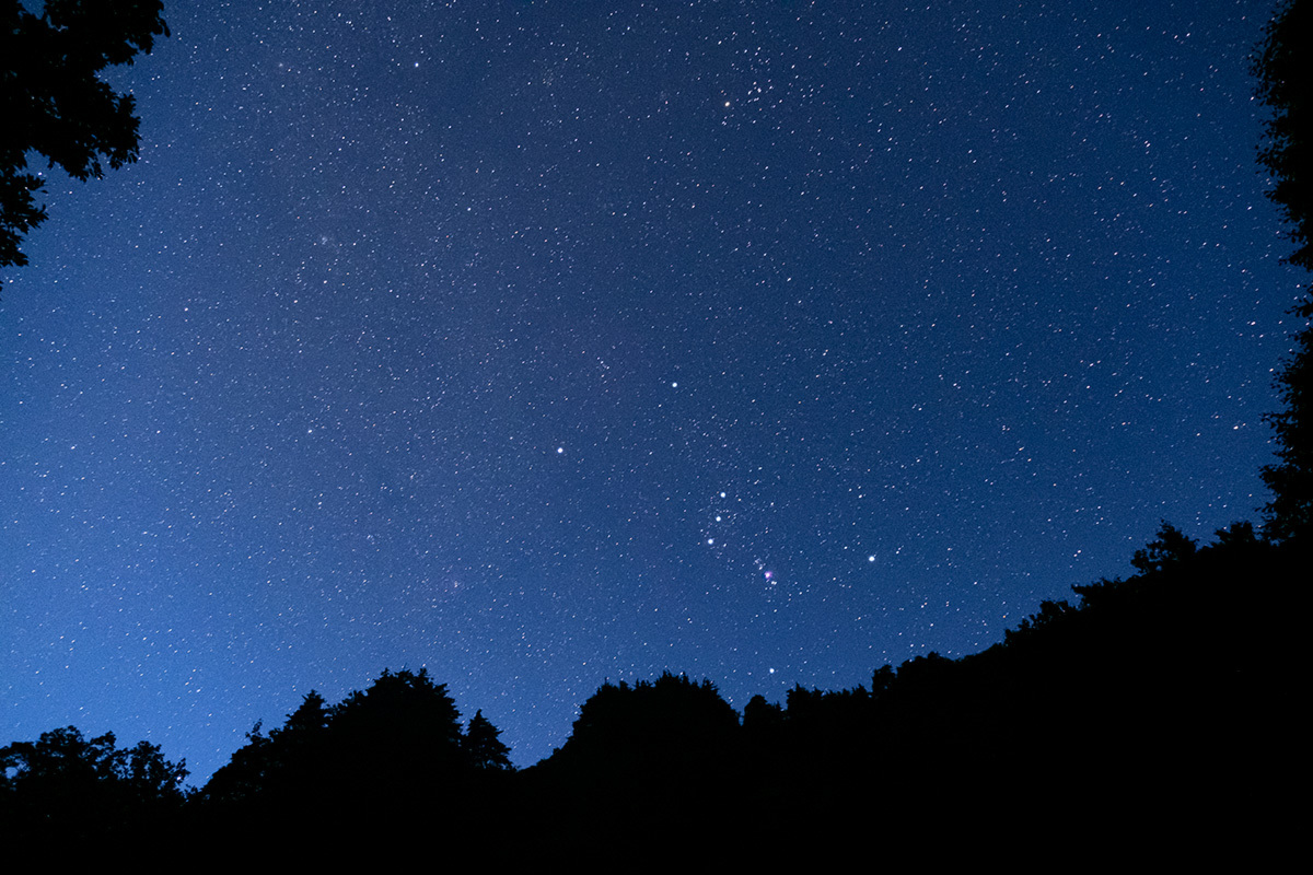 沈みゆく白鳥と還ってきたオリオン　Cygnus & Orion #FUJIXT30_c0065410_22505509.jpg