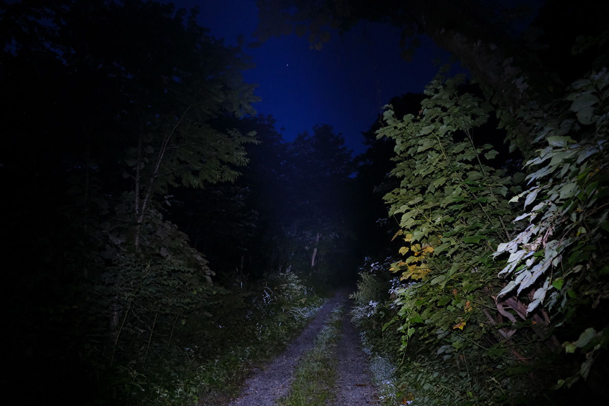 沈みゆく白鳥と還ってきたオリオン　Cygnus & Orion #FUJIXT30_c0065410_22511880.jpg