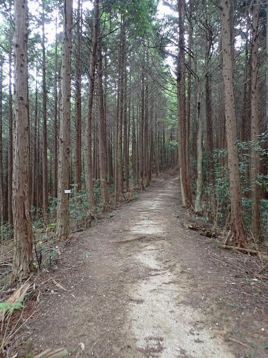 c0116915_00275624.jpg