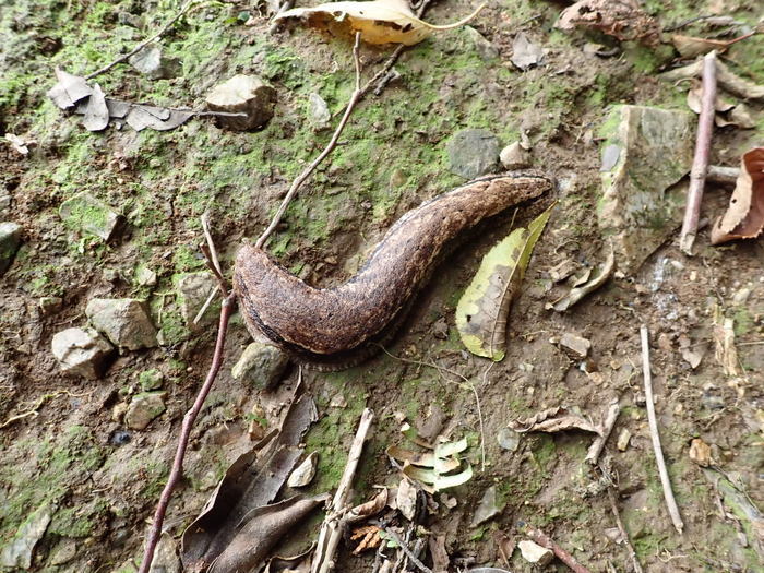 c0116915_00292038.jpg