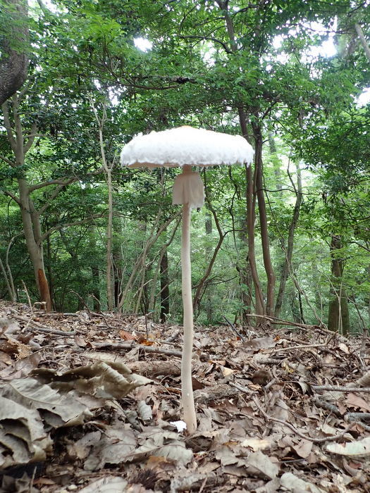 c0116915_00390464.jpg