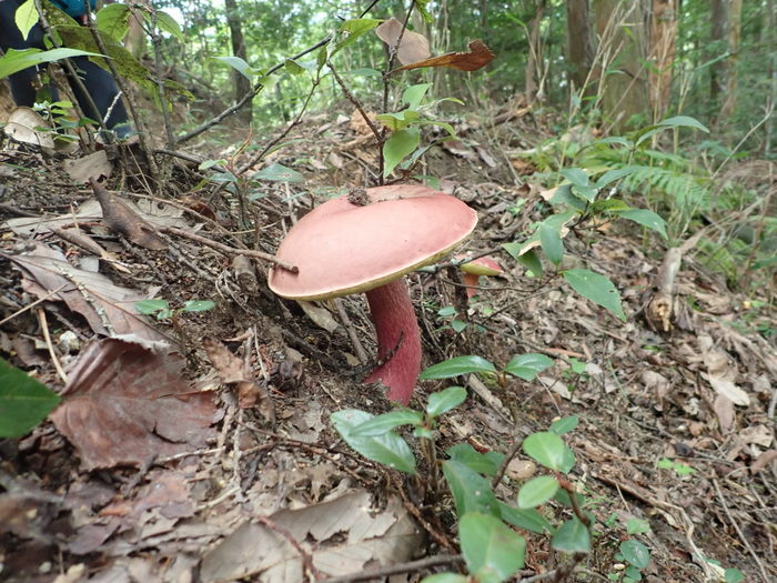 c0116915_00410951.jpg