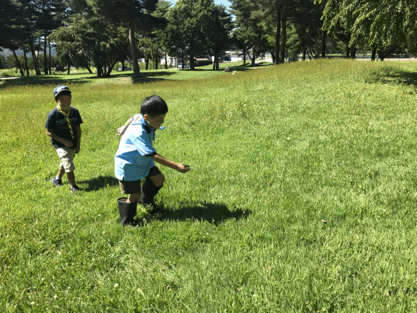 c0221521_13051194.gif