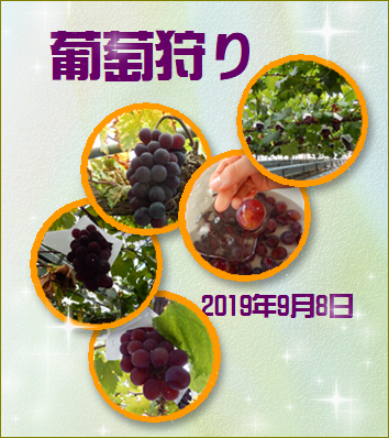 d0254522_15110352.png