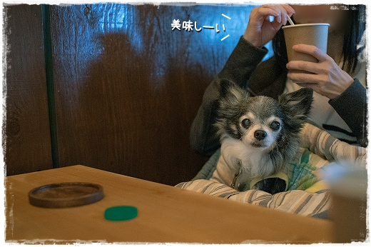 d0179828_16104693.png