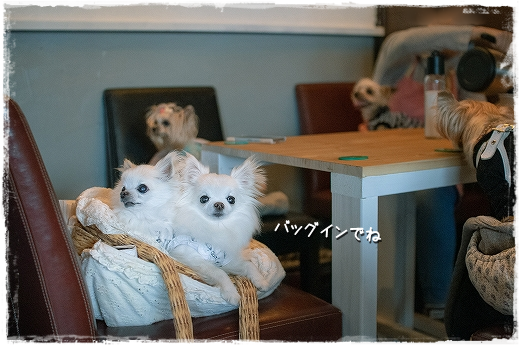 d0179828_16120574.png