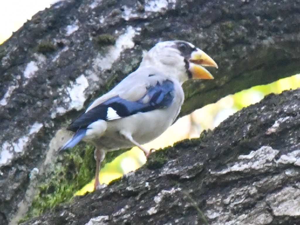 f0340732_20244725.jpg