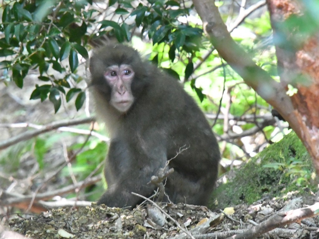 f0340732_20252755.jpg