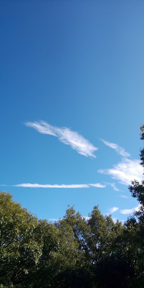 e0376933_22525683.jpg