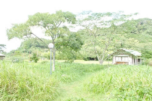 a0123836_15234838.jpg