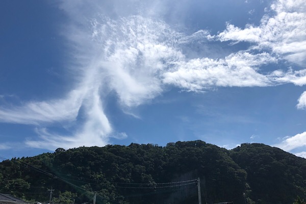 b0184636_21251335.jpg