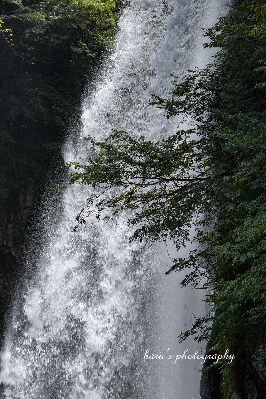 f0297537_19204075.jpg