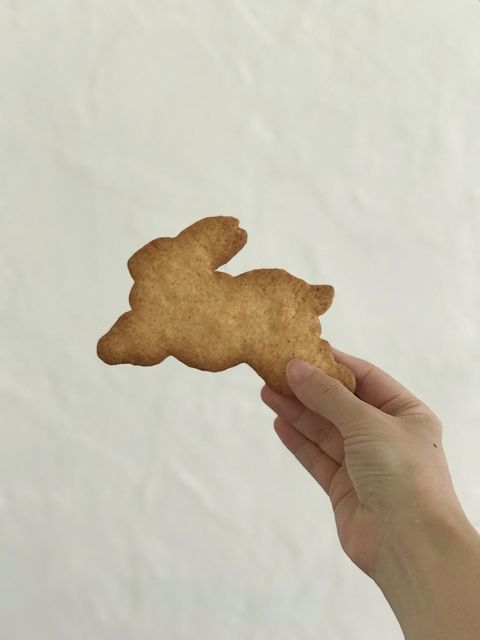 うさぎサブレ_a0274443_09423571.jpeg