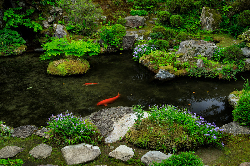 実光院の春の花々_f0155048_23315486.jpg