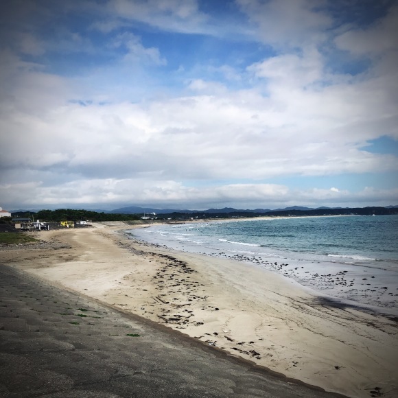 青い貝を探しに行ってきました。9/7〜伊勢 国府の浜_c0312349_21271351.jpeg