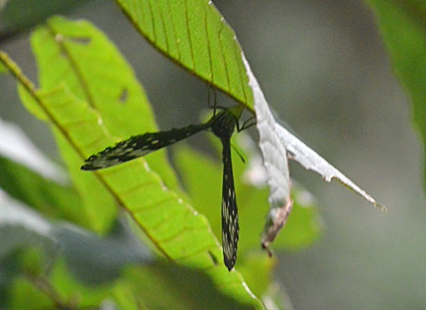 c0045352_09223421.jpg
