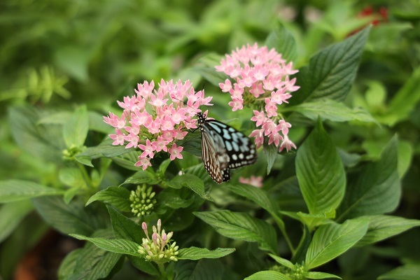 b0328557_20442727.jpg