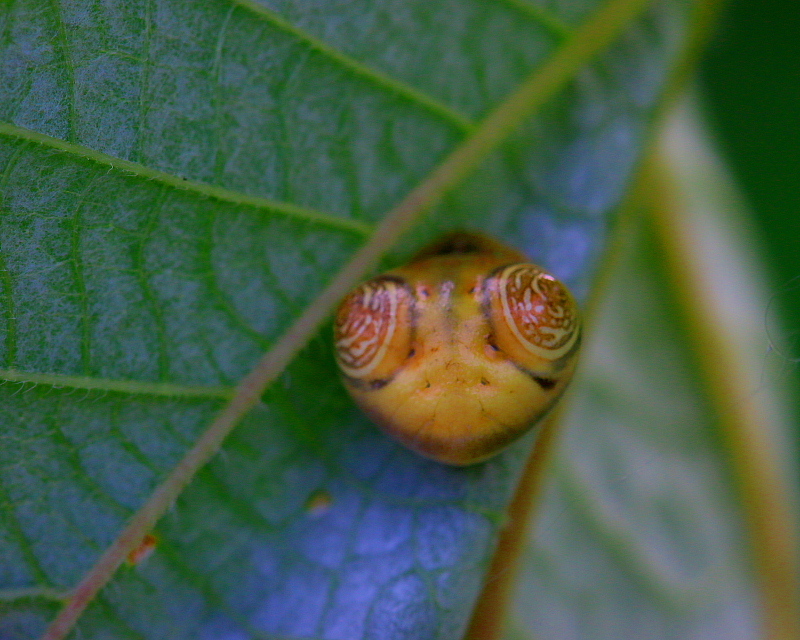 生家辺りで「宝物」探し_c0305565_17381133.jpg