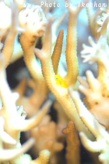 a0155467_18391819.jpg