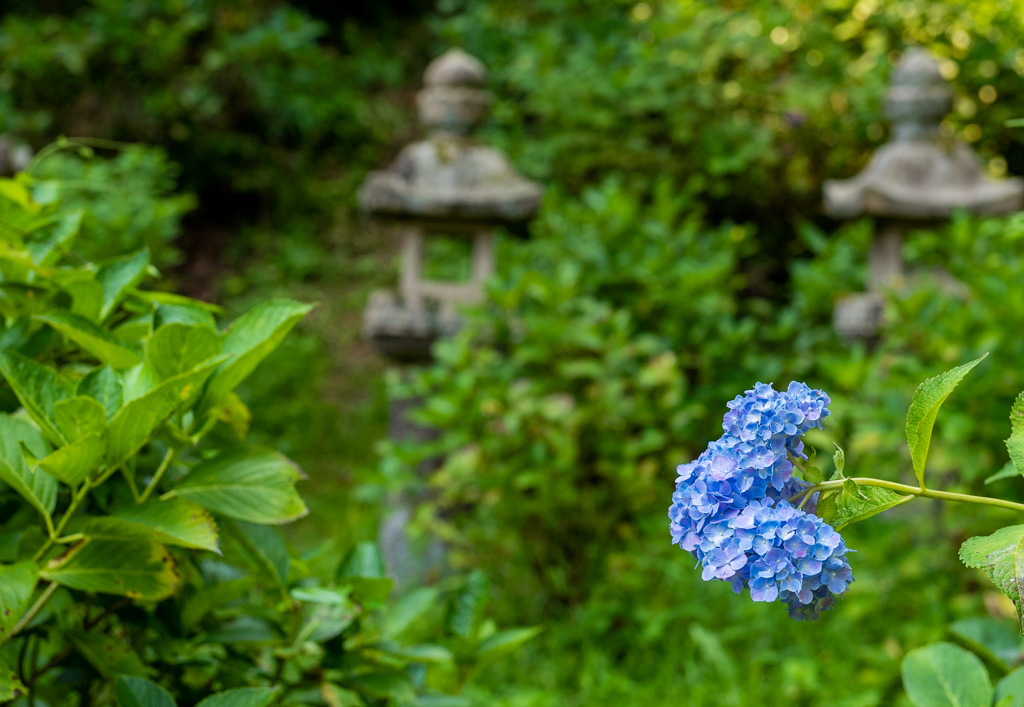 2019・夏旅の出雲　神の国ぶらぶら巡礼記・その5_b0247073_09344212.jpg