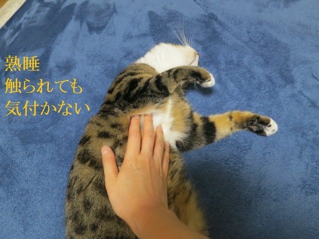 e0363677_20135281.jpg
