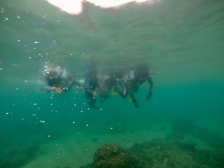 d0363878_14222827.jpg