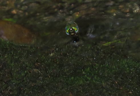 d0020180_10310121.jpg